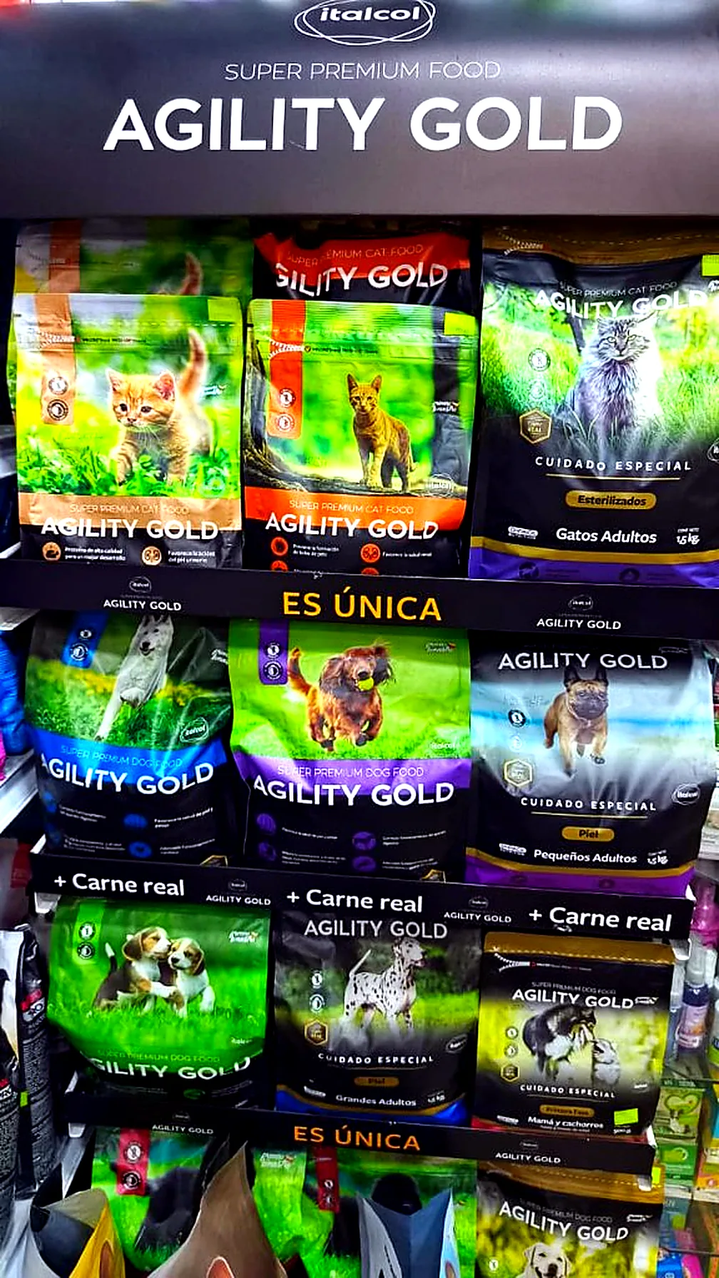 Góndola de alimento super premium Agility Gold de Italcol